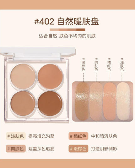 GOGO TALES Soft Makeup Flawless Concealer GT304 - Chic Decent