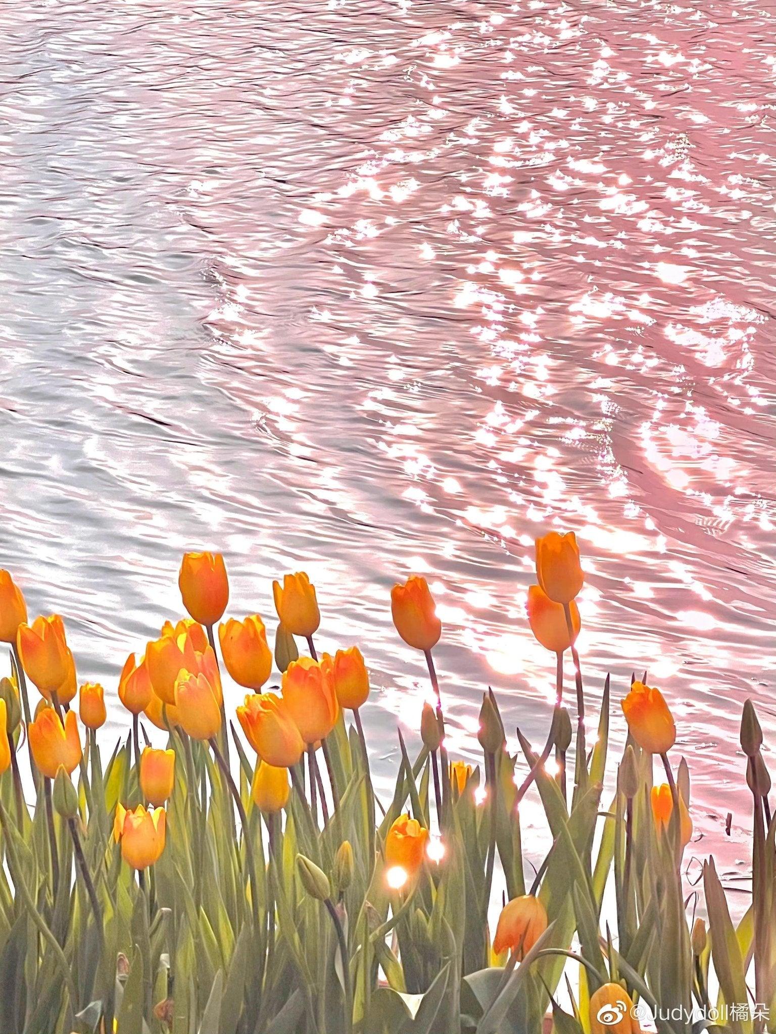 Judydoll Pink Lake Paradise 20 Colors Eyeshadow Palette JD09F - Chic Decent