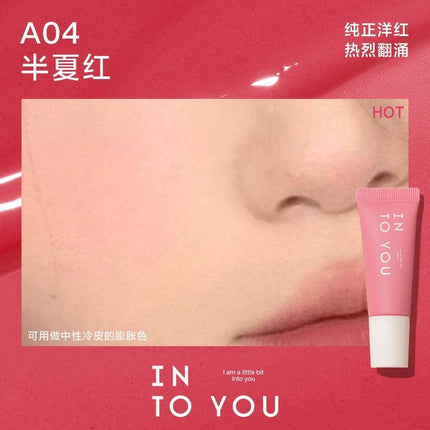 INTO YOU Airy Blush Liquid Blush IY049 - Chic Decent