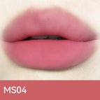 MS04