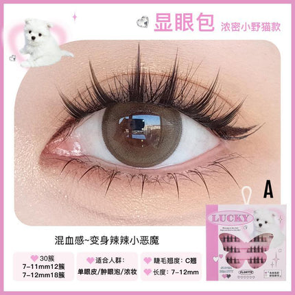 Flortte Super Beauty Glue Free Falsh Eyelash FLT080