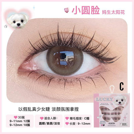 Flortte Super Beauty Glue Free Falsh Eyelash FLT080