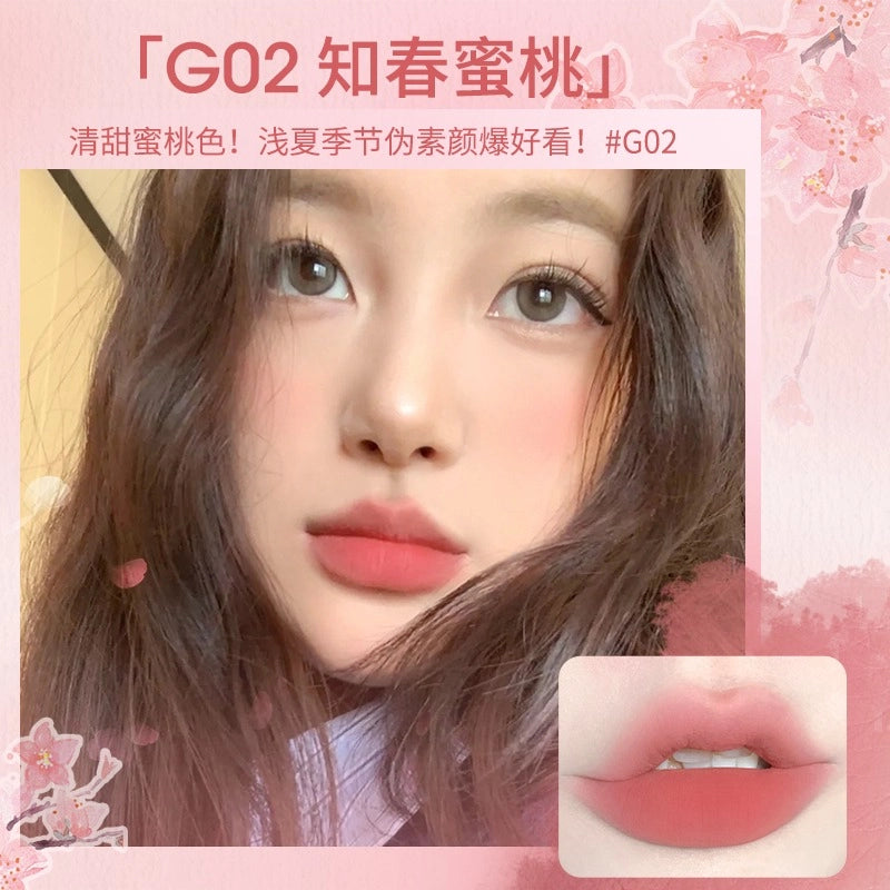 GOGO TALES Thin Mud Gauze Lip Glaze GT476A