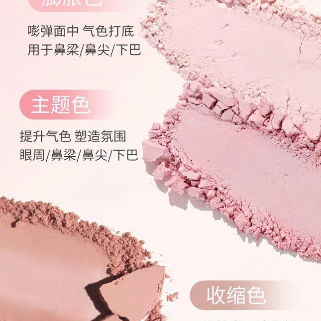 HOLDLIVE - Triple Colors Powder Blusher 9g