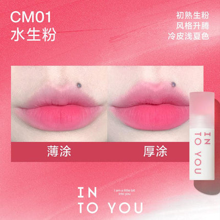 INTO YOU Cloudy Lip Mud IY0F8 - Chic Decent