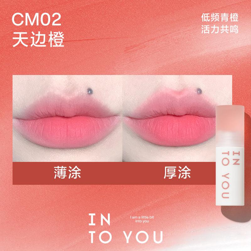 INTO YOU Cloudy Lip Mud IY0F8 - Chic Decent