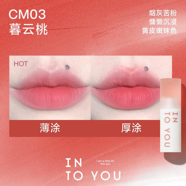 INTO YOU Cloudy Lip Mud IY0F8 - Chic Decent