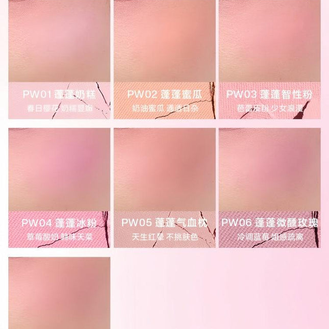 INTOYOU - Fluffy Pillow Single Blusher 5g
