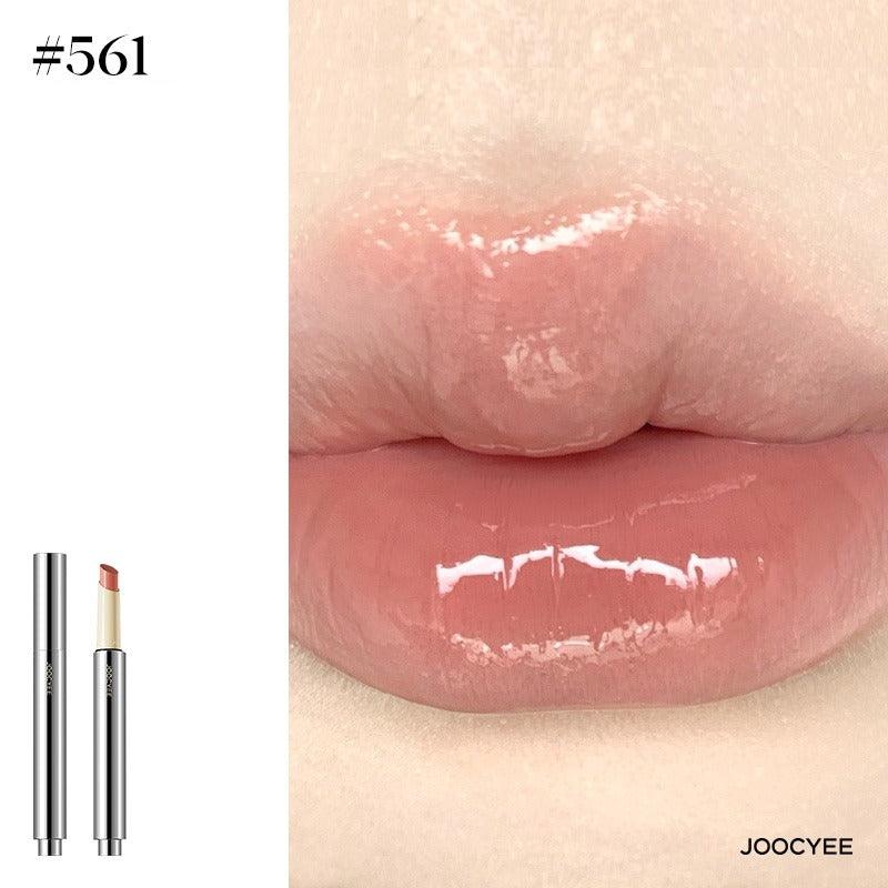 Joocyee-Glossy-Rouge-Chic-Decent-Beauty-_4