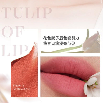 Judydoll Long Wearing Lip Mud JD161