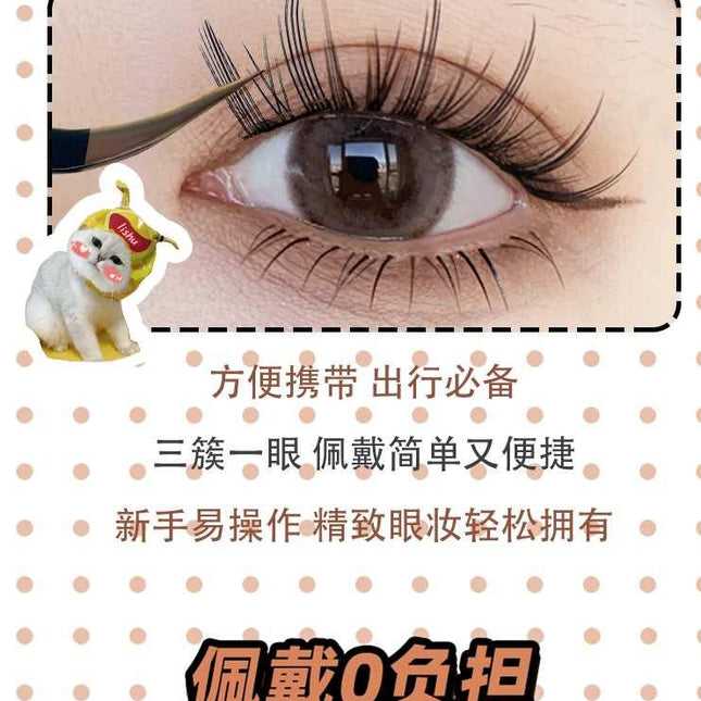 LISHU - A Glue Free False Eyelashes Box