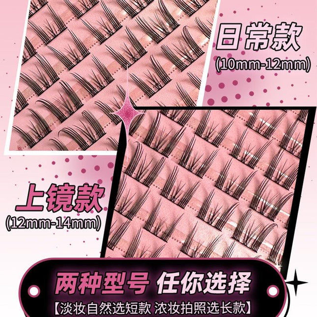 LISHU - A Plus False Eyelashes Book 144