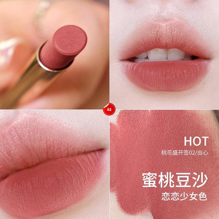 MEIKING Shangshangqian Lipstick MK017 - Chic Decent