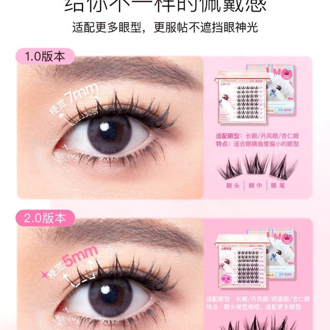 Mr.Wish - Naughty Animal Series Rabbit Dog Fox False Eyelashes