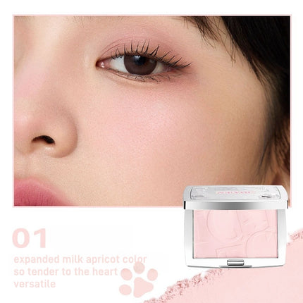 NEIYOU Cat Files Blush Powder NY009