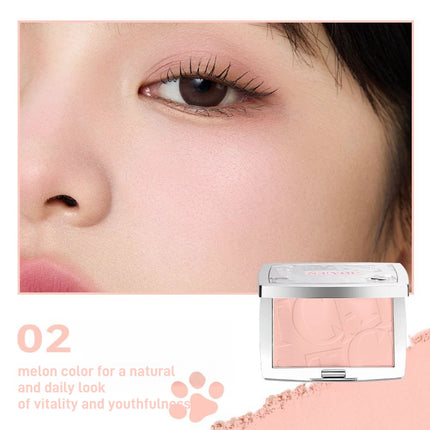 NEIYOU Cat Files Blush Powder NY009