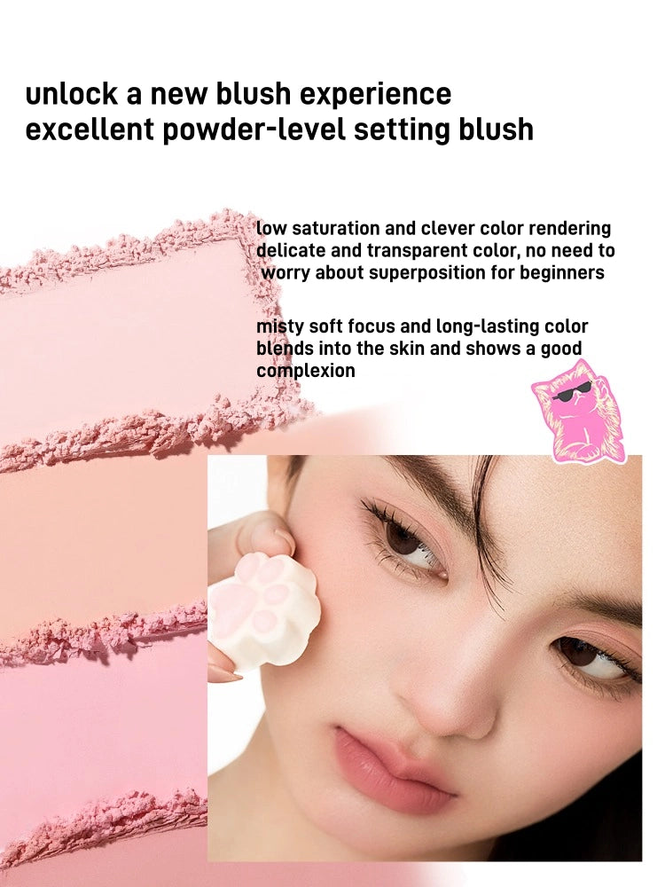 NEIYOU Cat Files Blush Powder NY009