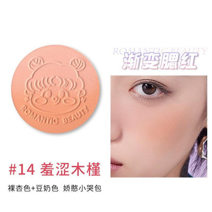 RMT Romantic Beauty Gradient Blusher RMT002 - Chic Decent