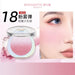 RMT Romantic Beauty Gradient Blusher RMT002 - Chic Decent