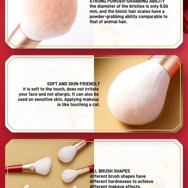 Shang Yang - Beauty Face 10 Brushes Set