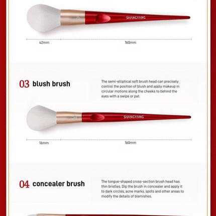 Shang Yang Beauty Face 10 Brushes Set