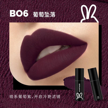 【NEW Browny Nude# Bare Pink#】HYNTOOR Black Macaron Lip Powder Tint HYT008 - Chic Decent