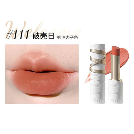 Chioture Silky Matte Lipstick COT018 - Chic Decent