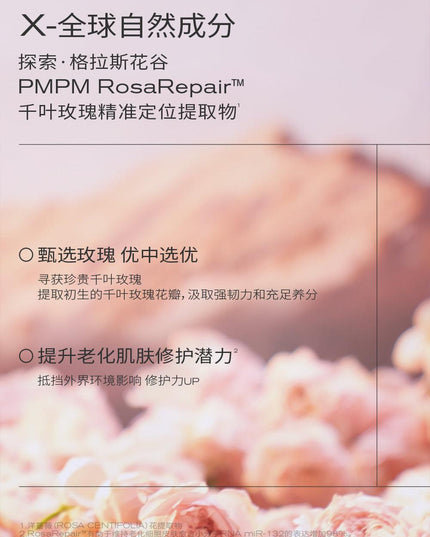 PMPM Rose Squalane Soothing Repair Essense Oil 15ml/30ml PM032 - Chic Decent