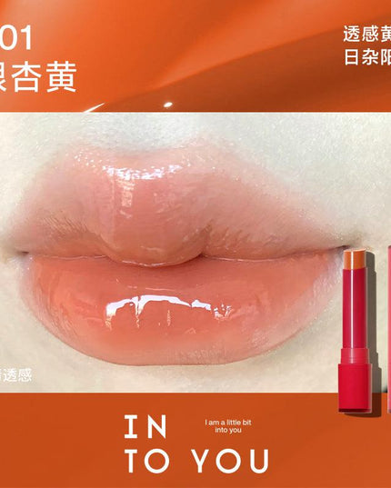 INTO YOU Brilliant Lipstick IY043 - Chic Decent