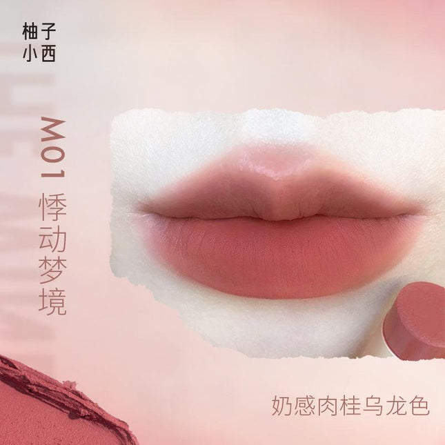 CCSheer Pink Velvet Smooth Mud Lip CCS005 - Chic Decent