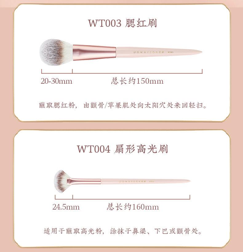 Rownyeon Misty Peach Makeup Brush 11-in-Set RY013 - Chic Decent