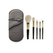 5 Brushes with Bag